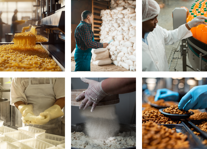Conecta Alimentos 