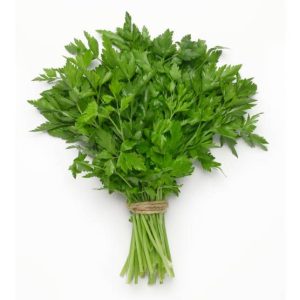 Salsa - Sempre Verde