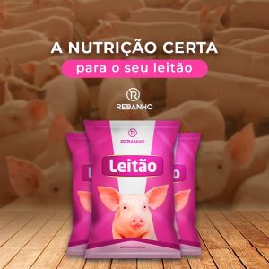 Suplementação Suína - Leitão - Rebanho Soluções Agropecuárias