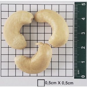 W1-240 Natural - Onvit