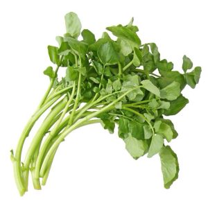 Agrião Salada - Sempre Verde
