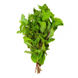 Hortelã - Sempre Verde