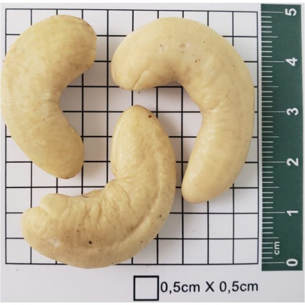 SLW1-180 Natural - Onvit